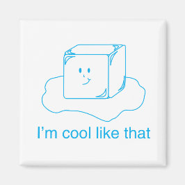 Ice Cube Magnet Magneet