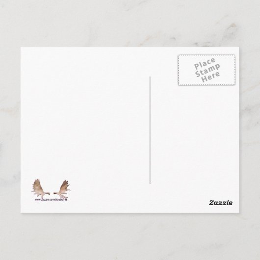 Ice Edge Polar-Beer Briefkaart (Achterkant)