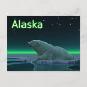 Ice Edge Polar-Beer Briefkaart (Voorkant)