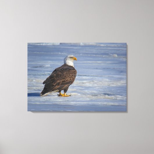 Ice Fishing Canvas Afdruk (Voorkant)