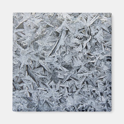 Ice Frost Crystals Texture Afbeelding Magneet (Voorkant)