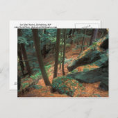 Ice Glen Ravine Briefkaart (Voorkant / Achterkant)