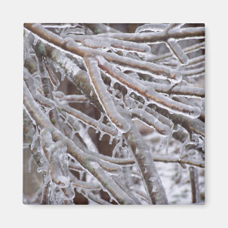 Ice Magneet