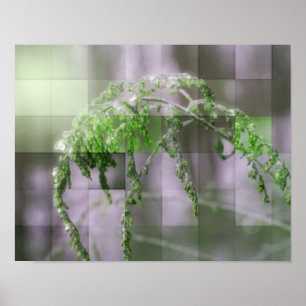 Ice on Goldenrod Natuur Poster