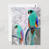Ice Parrots Briefkaart (Voorkant / Achterkant)