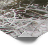 Ice Reflection Poster (Hoek)