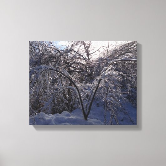 Ice Storm Fotodoek Kunstdruk Michigan Canvas Afdruk (Voorkant)