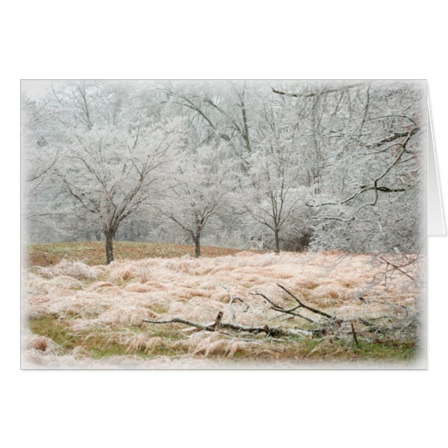 Ice Storm Rural Tennessee - Foto (Voorkant Horizontaal)