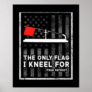 Ice Vist de enige vlag die ik ken Poster