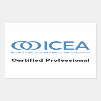 ICEA Certified Professional Stickers