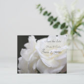 Iceberg roos save the date (Staand voorkant)