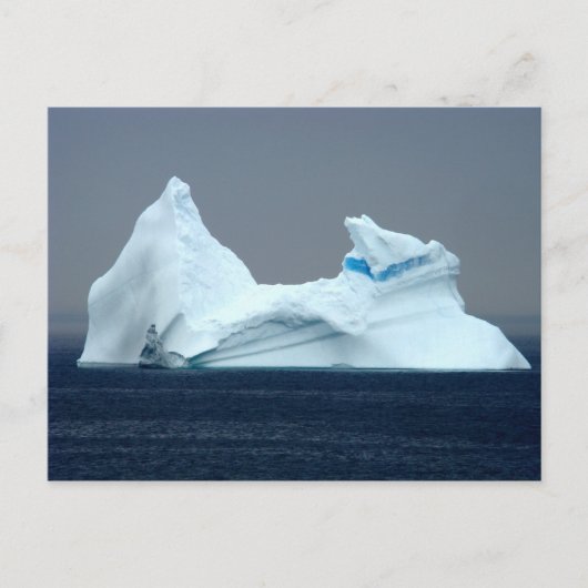 Icebergs in Newfoundland Briefkaart (Voorkant)