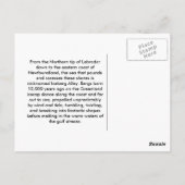 Icecapades Briefkaart (Achterkant)