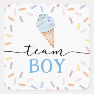 Icecream Geslacht onthullen Team Boy Vierkante Sticker