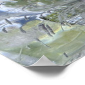 Iced Black Knight Butterfly Struik, Poster (Hoek)