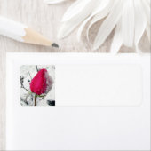Iced Roos Etiket (Insitu)