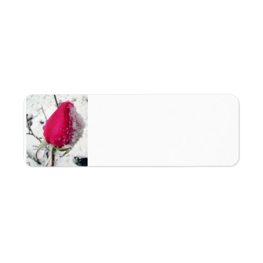 Iced Roos Etiket (Voorkant)