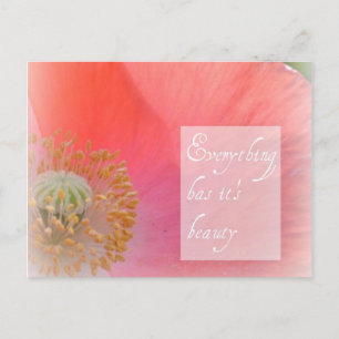 Iceland Poppy Beauty Post Kaart