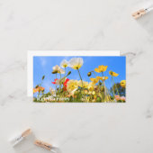 Iceland Poppy Kaart (Voorkant / Achterkant in situ)