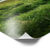 Iceland: ‎⁨Sauðárkrókur⁩ Foto Afdruk (Hoek)