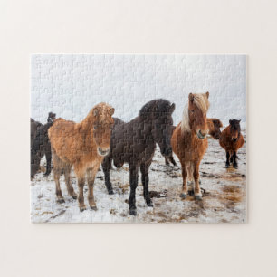Icelandic Horse during winter on Iceland Legpuzzel