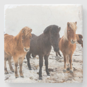Icelandic Horse during winter on Iceland Stenen Onderzetter
