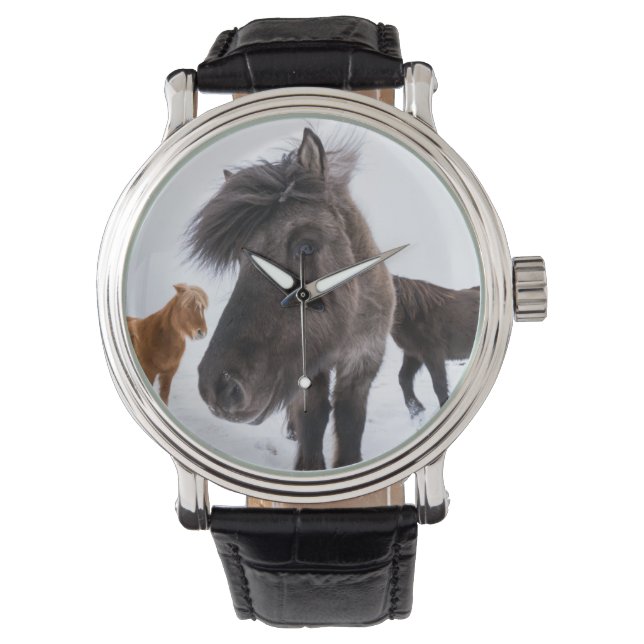 Icelandic Horse Portrait, Iceland Horloge (Voorkant)