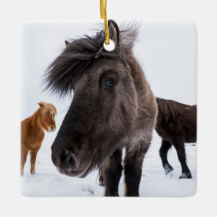 Icelandic Horse Portrait, Iceland Keramisch Ornament