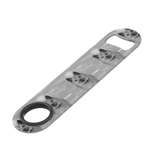 IcelandicSheepdog20151203 (Devant angulaire)