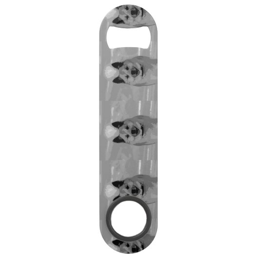 IcelandicSheepdog20151203 (Devant)