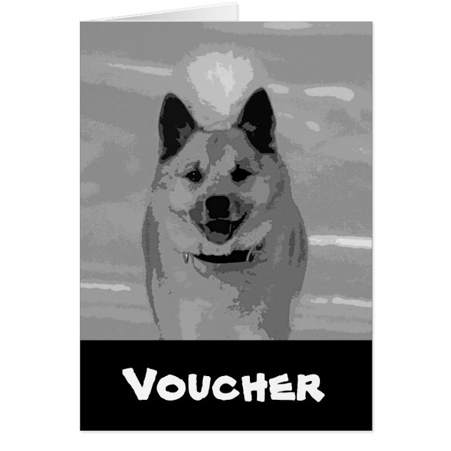 IcelandicSheepdog20151203 (Devant)