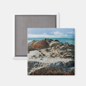 Ich zal nicht viel ich nur Meer Magneet (Voorkant / Achterkant)