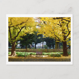 Icho Namiki (Ginkgo Avenue): Tokio, Japan Briefkaart