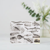 Ichthyology- Elasmobranch, Ganoid Briefkaart (Staand voorkant)