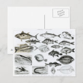 Ichthyology Osseous Fishes Briefkaart (Voorkant / Achterkant)