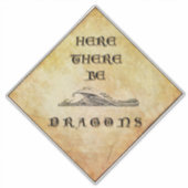 Ici Il Y A Des Stickers De Vinyle Dragons (Devant)