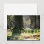 Ici il y a Féeries Carte postale (Devant / Derrière)