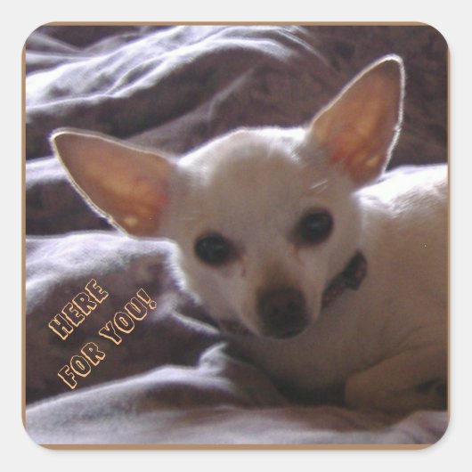 Ici pour vous Stickers (Devant)