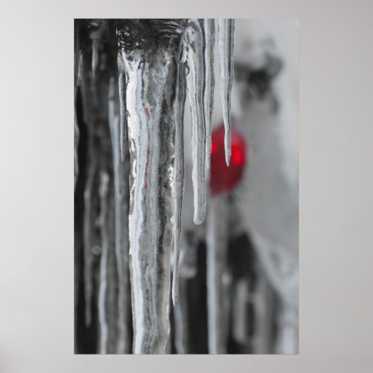 Icicen Poster (Voorkant)