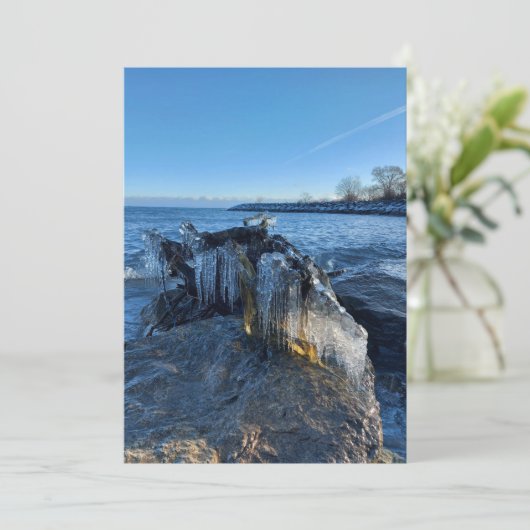 Icicles in het landschap, bevroren bij het meer (Staand voorkant)