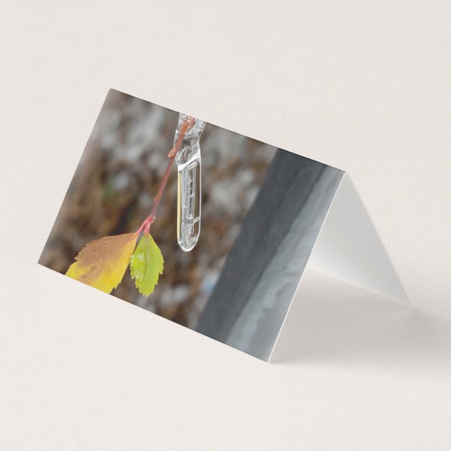 Icicule sur la feuille (Front)