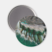 Icône Australe - Big Croc Terry 2 - Magnet (Recto/Verso)