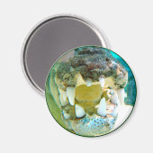 Icône Australe - Big Croc Terry - Magnet (Recto/Verso)