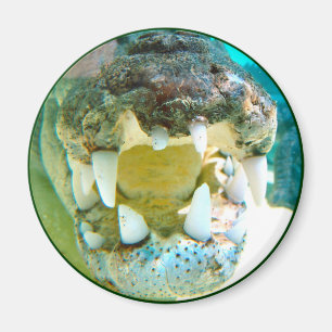 Icône Australe - Big Croc Terry - Magnet