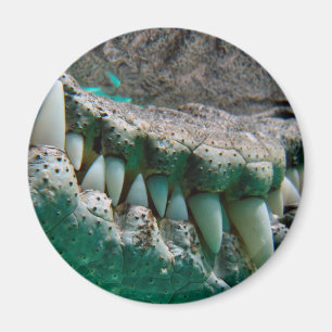 Icône australienne - grand Croc Terry 2 - aimant