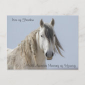 Icône de liberté - Carte postale (Devant)