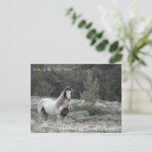 Icône du Far West - Carte postale (Debout devant)