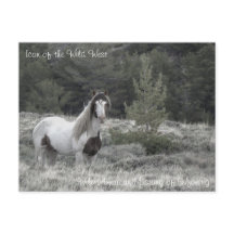 Icône du Far West - Carte postale