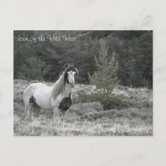 Icône du Far West - Carte postale (Devant)