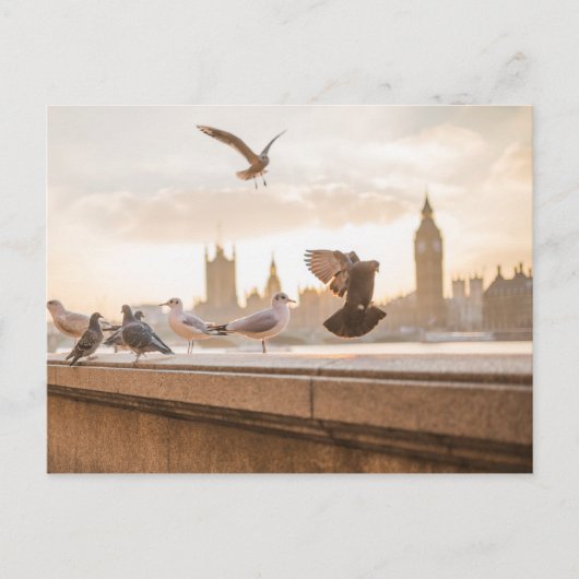 Iconic Big Ben en Westminster met duiven Briefkaart (Voorkant)